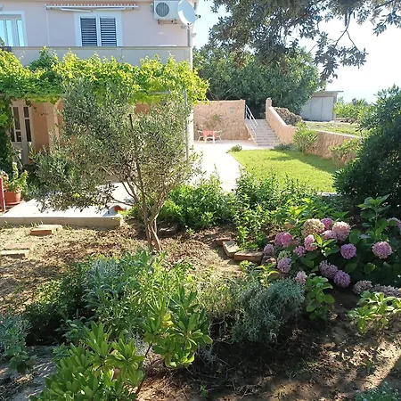 Mima Lägenhet Lopar